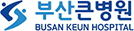 부산큰병원 로고 이미지